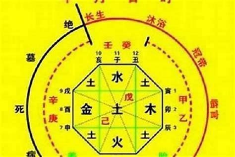 八字算名|生辰八字算命、五行喜用神查詢（免費測算）